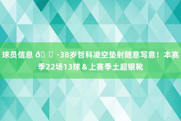 球员信息 🍷38岁哲科凌空垫射随意写意！本赛季22场13球＆上赛季土超银靴