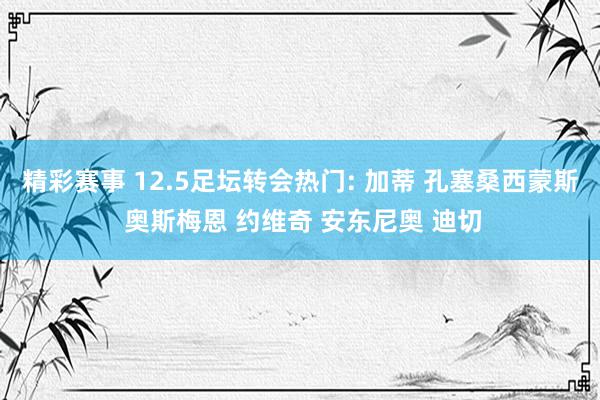 精彩赛事 12.5足坛转会热门: 加蒂 孔塞桑西蒙斯 奥斯梅恩 约维奇 安东尼奥 迪切