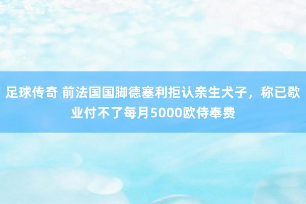 足球传奇 前法国国脚德塞利拒认亲生犬子，称已歇业付不了每月5000欧侍奉费