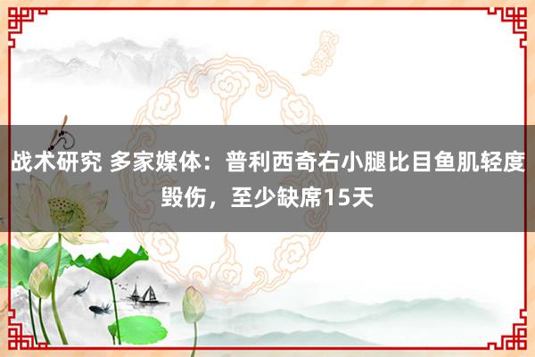 战术研究 多家媒体：普利西奇右小腿比目鱼肌轻度毁伤，至少缺席15天