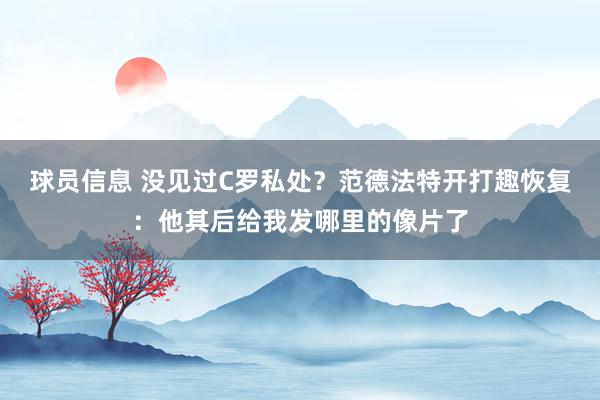 球员信息 没见过C罗私处？范德法特开打趣恢复：他其后给我发哪里的像片了