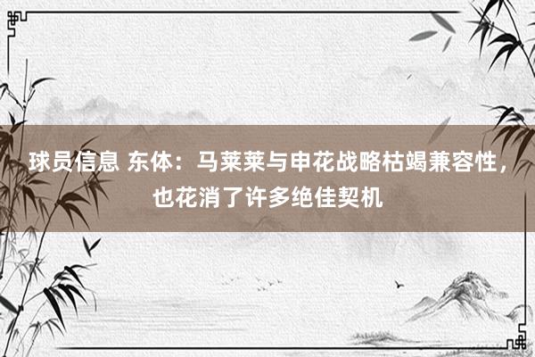 球员信息 东体：马莱莱与申花战略枯竭兼容性，也花消了许多绝佳契机