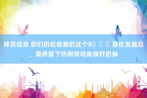 球员信息 你们扔垃圾我扔这个😂恩佐反超后，桑乔拔下热刺球场角旗杆扔掉