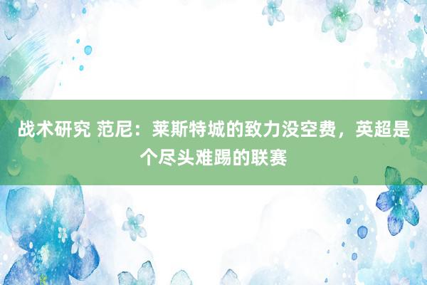 战术研究 范尼：莱斯特城的致力没空费，英超是个尽头难踢的联赛