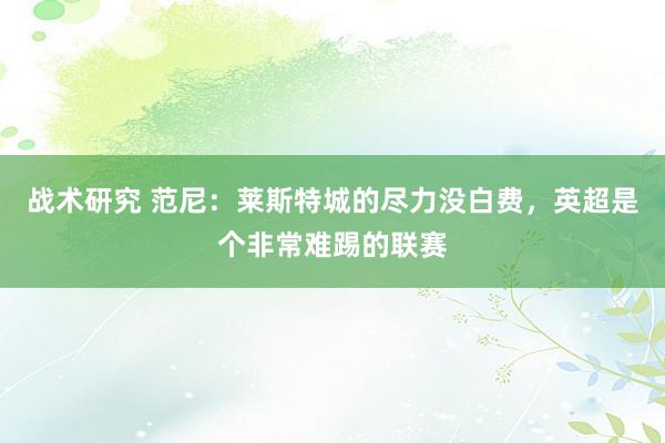 战术研究 范尼：莱斯特城的尽力没白费，英超是个非常难踢的联赛