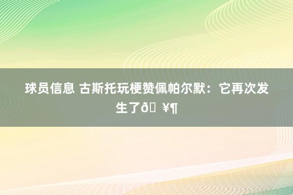 球员信息 古斯托玩梗赞佩帕尔默：它再次发生了🥶