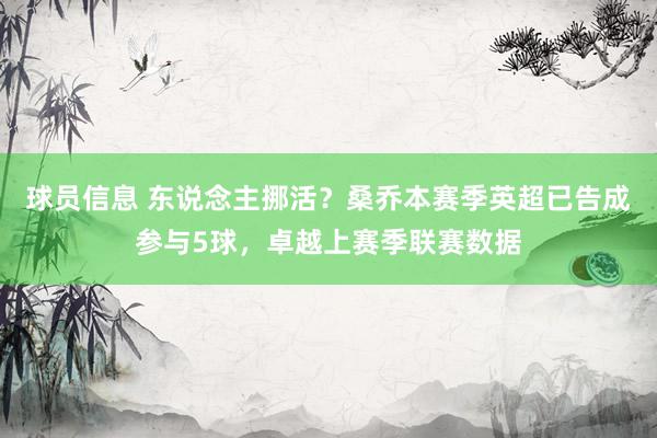 球员信息 东说念主挪活？桑乔本赛季英超已告成参与5球，卓越上赛季联赛数据